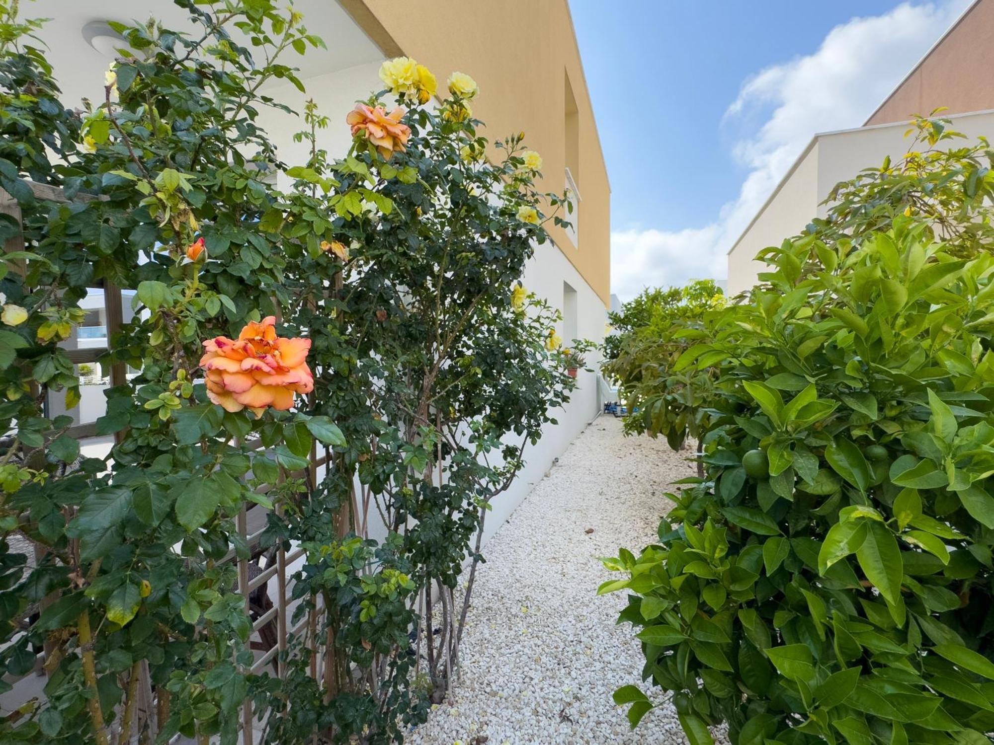 Villa Jasmine With Pool In Universal *